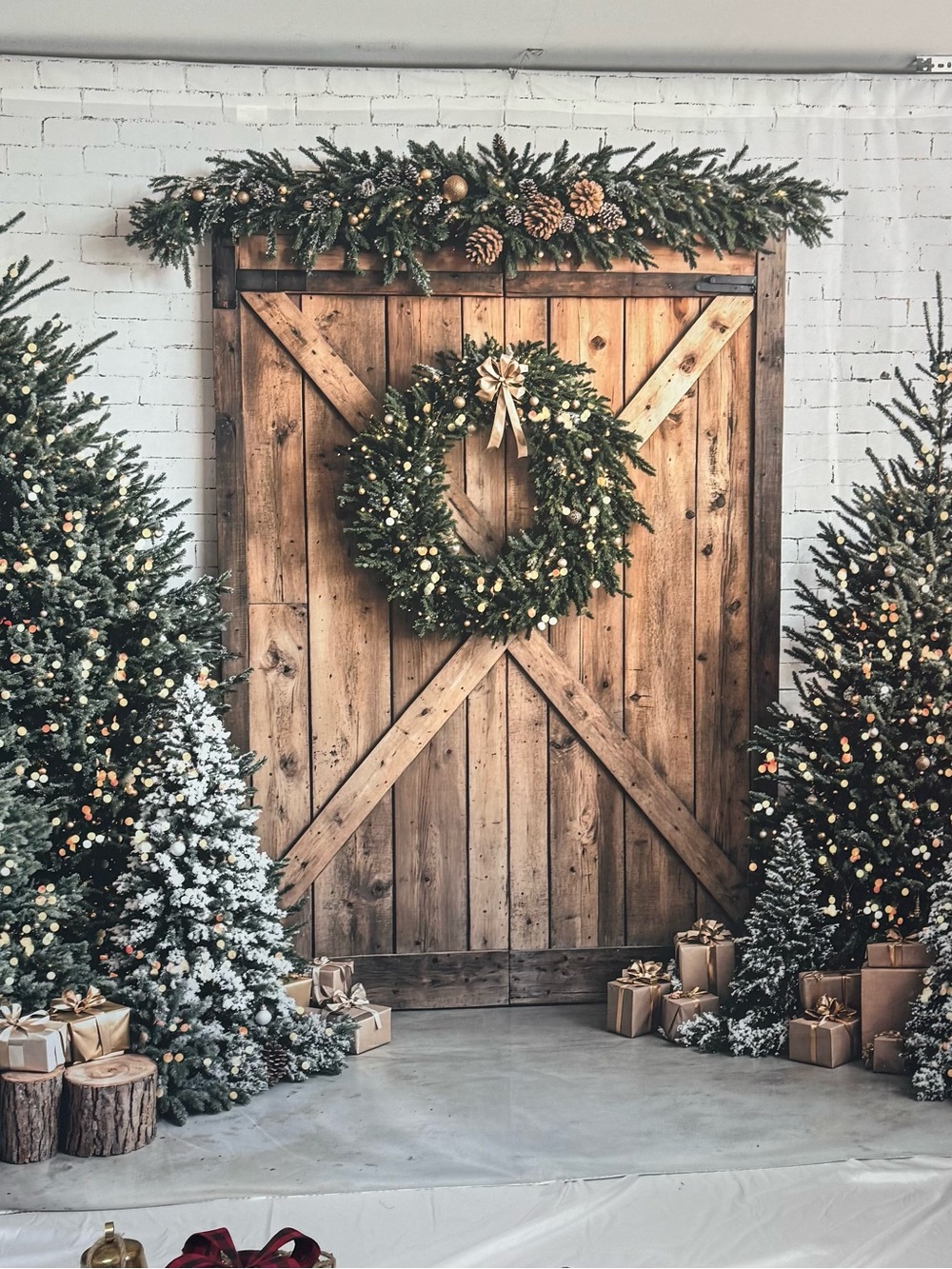 Kate Christmas Backdrop 10x10